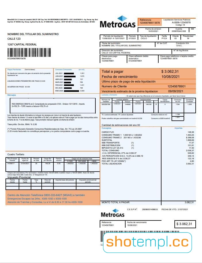 Acea Gas Bill Template in PDF Format