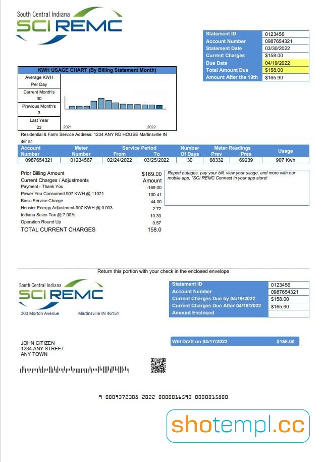 USA SCE&G Light Bill PSD Template