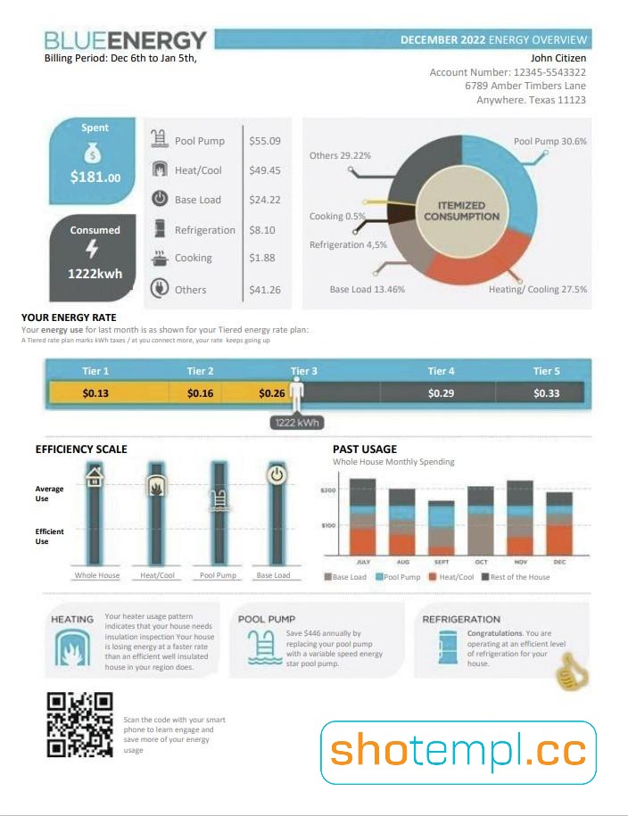USA Texas Think Energy Utility Bill PDF Template